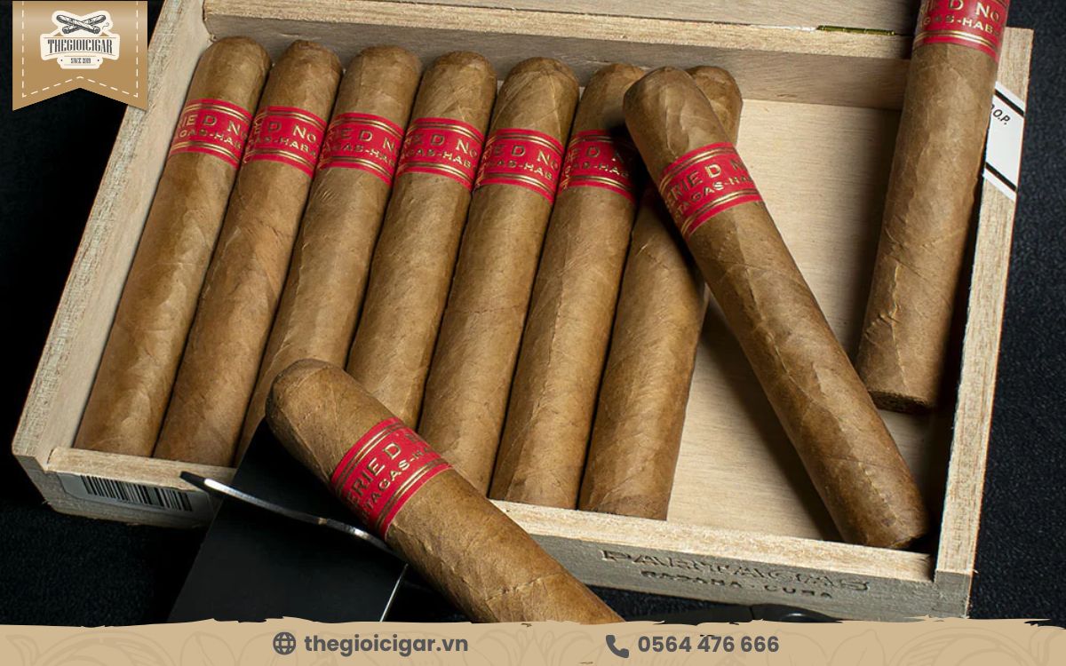 Partagas Serie D No. 4 vị hạt dẻ mang đến trải nghiệm hút êm ái Partagas Serie D No. 4 vị hạt dẻ mang đến trải nghiệm hút êm ái