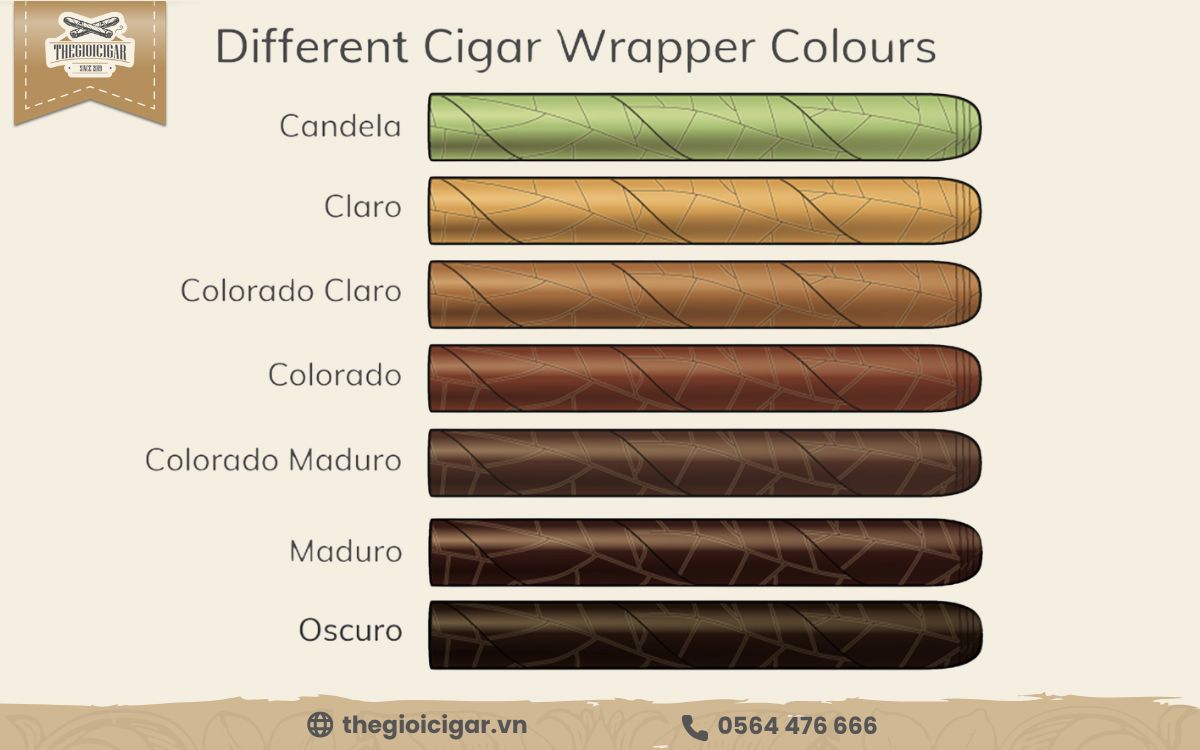 Màu sắc Wrapper của xì gà
