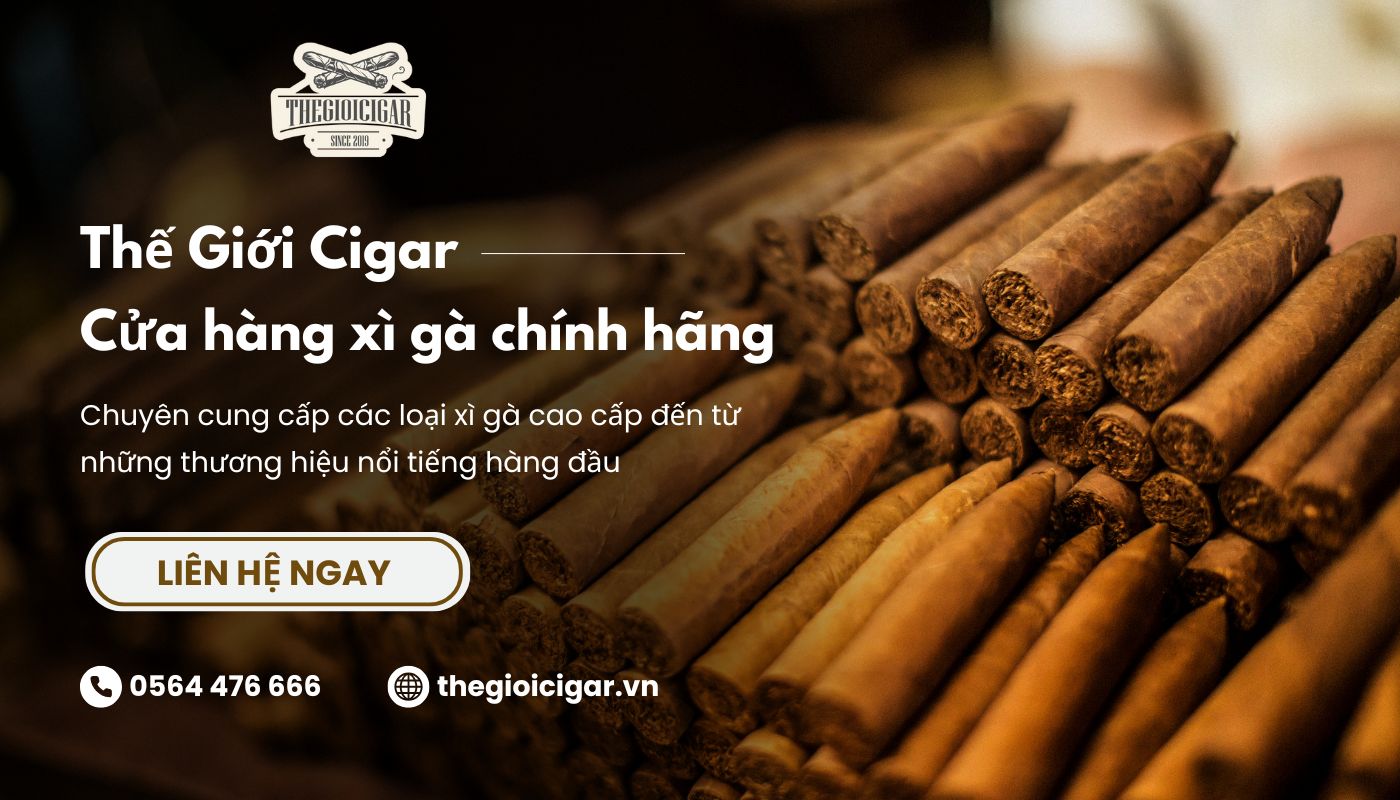 Thế Giới Cigar - Địa chỉ cung cấp xì gà chính hãng 100%