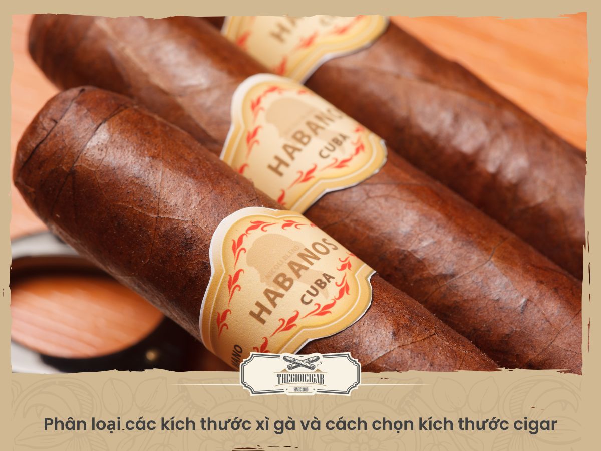 Hướng dẫn cách chọn đúng kích thước xì gà