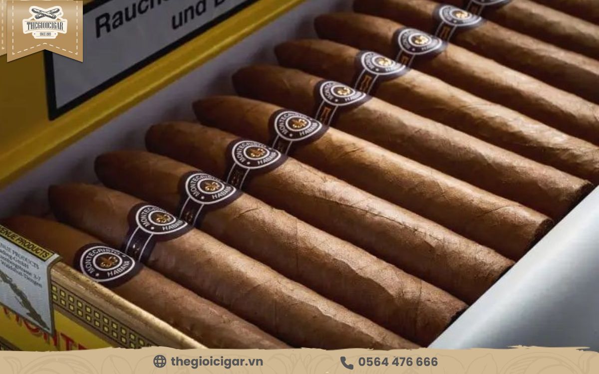 Montecristo No.2 là tuyên ngôn về gu thẩm mỹ và sự từng trải Montecristo No.2 là tuyên ngôn về gu thẩm mỹ và sự từng trải