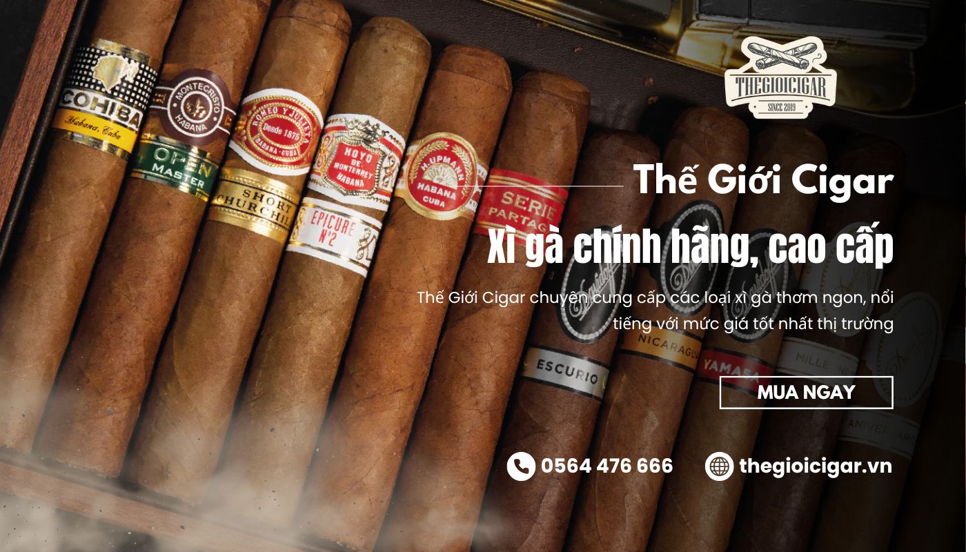 Mua các loại xì gà thơm ngon, nổi tiếng tại Thế Giới Cigar