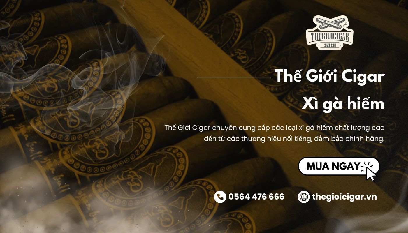 Mua xì gà hiếm có khó tìm uy tín, giá tốt tại Thế Giới Cigar