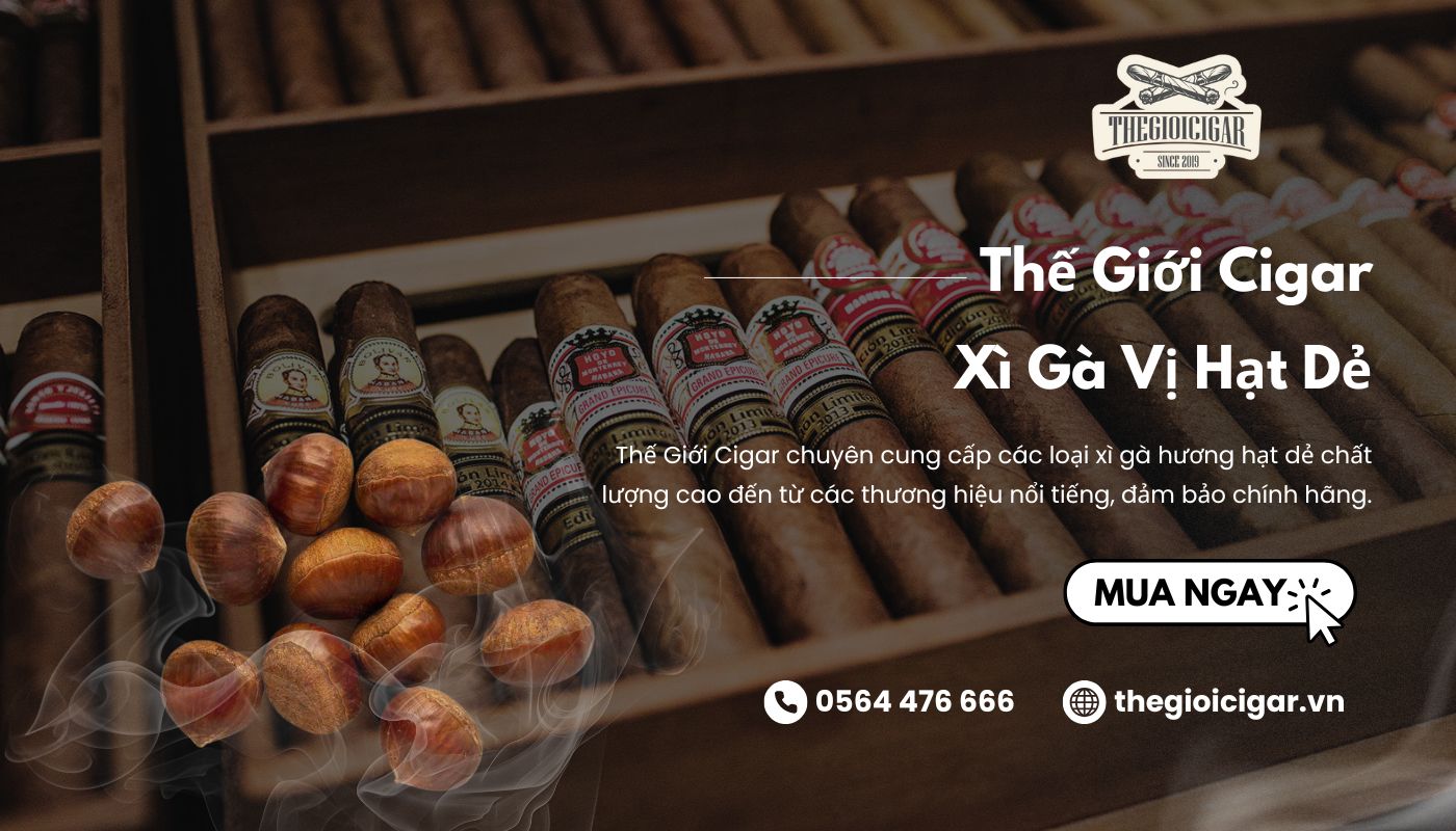 Thế Giới Cigar chuyên cung cấp các dòng cigar vị hạt dẻ cao cấp