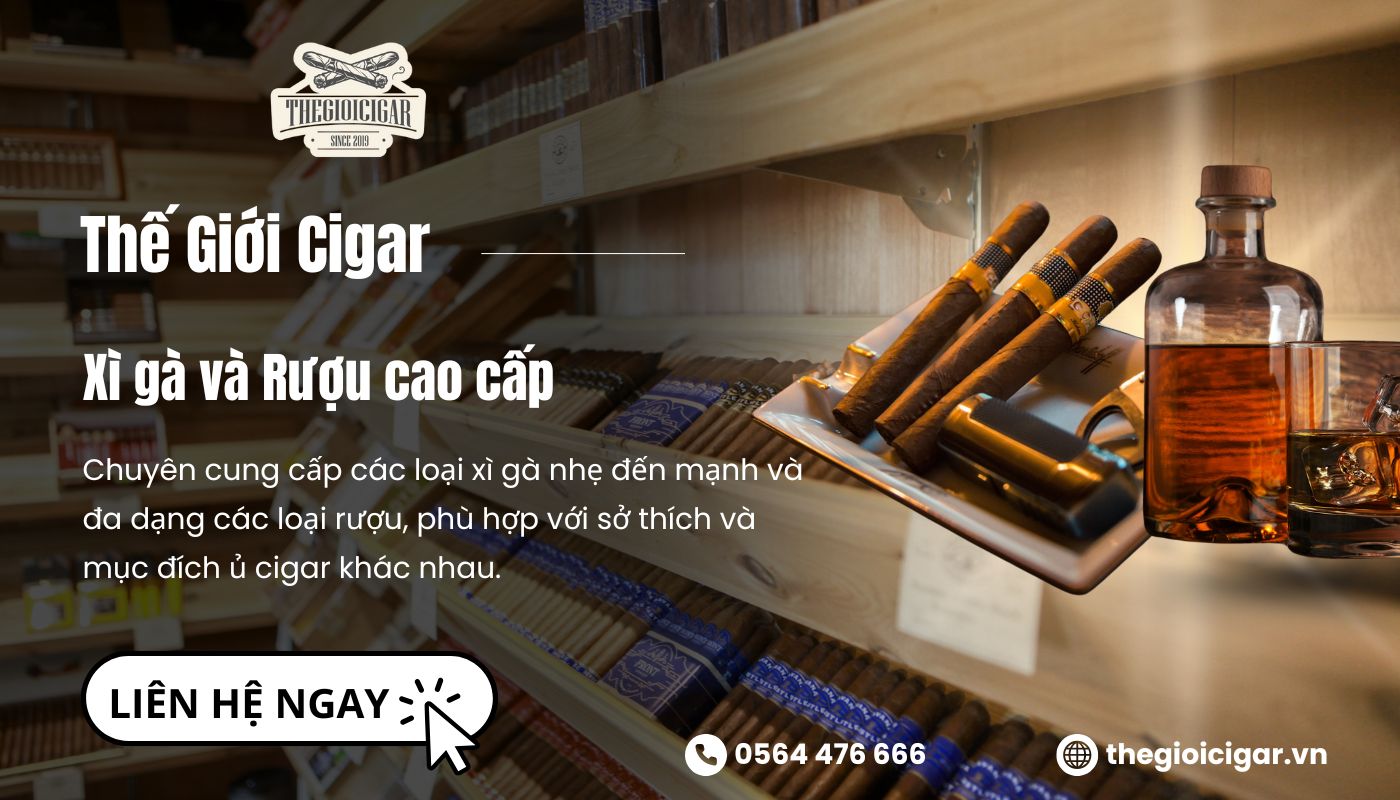 Mua xì gà và rượu để ủ ở đâu chất lượng?
