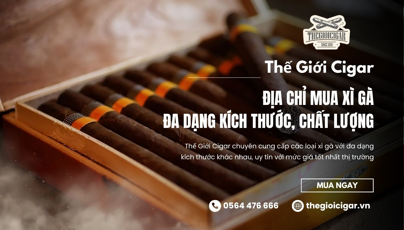 Mua cigar có kích thước xì gà chuẩn tại Thế Giới Cigar