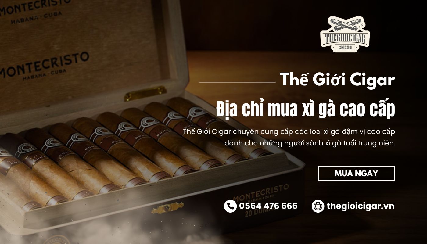Thế Giới Cigar đã chọn lọc những dòng xì gà tuổi trung niên chất lượng
