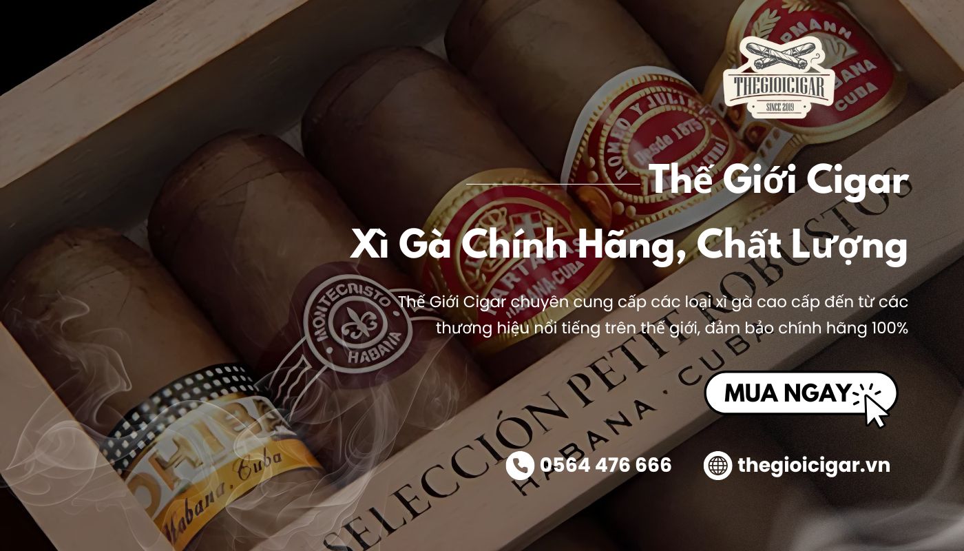 Mua cigar chính hãng, đạt chuẩn chất lượng tại Thế Giới Cigar