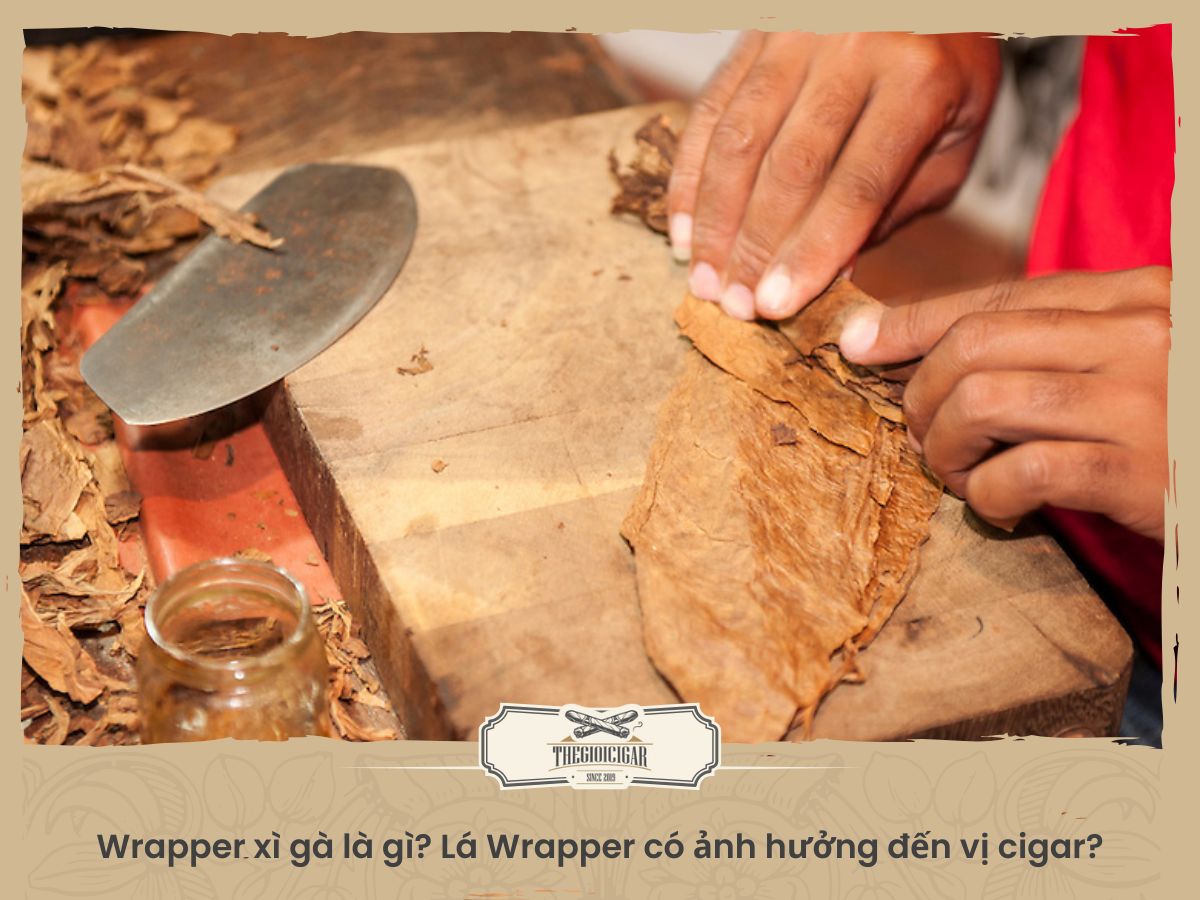 Lá Wrapper xì gà là gì?