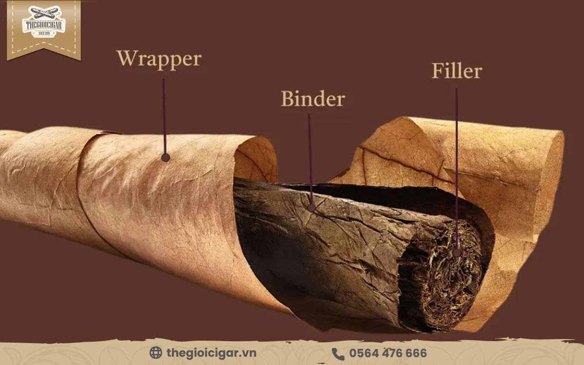 Tìm hiểu Wrapper của xì gà là gì? Lá bọc ngoài xì gà là gì?