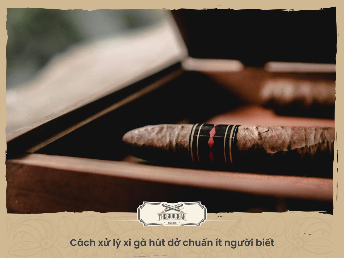 Xì gà bao nhiêu tiền 1 điếu?