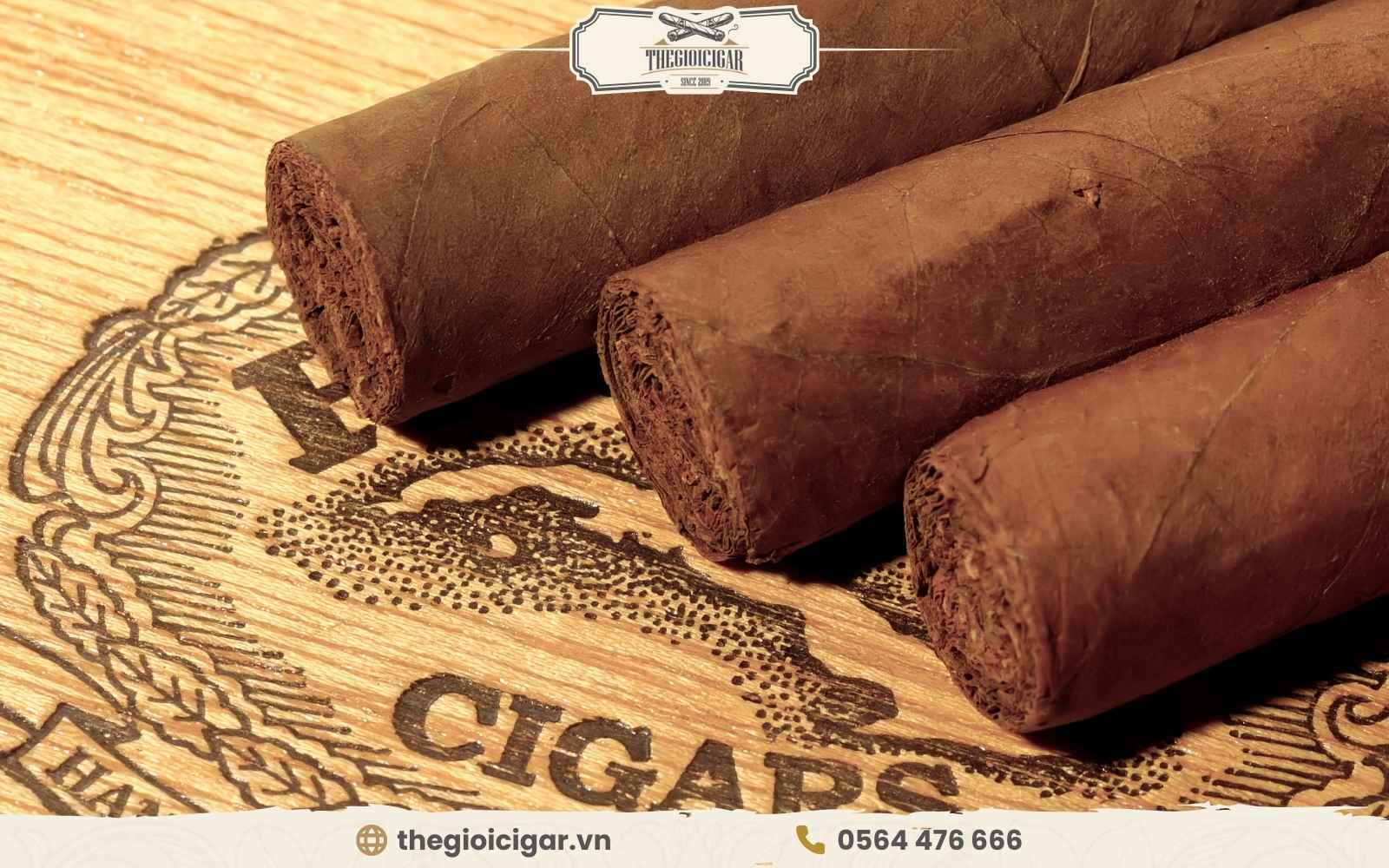 Xì gà cuba bao nhiêu tiền 1 điếu? Xì gà cuba bao nhiêu tiền 1 điếu?