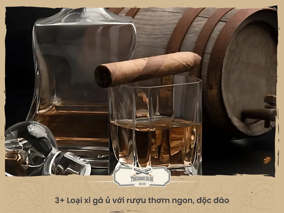 3+ loại xì gà ủ với rượu thơm ngon, độc đáo