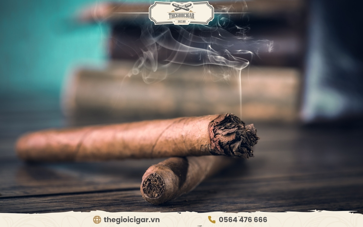 Các tầng hương xì gà có vị gì đặc trưng? Tầng hương xì gà có những vị gì?