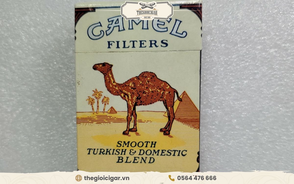 Thuốc lá điếu lớn Camel Filter vị đậm đà, ngọt nhẹ và khói dày Thuốc lá điếu lớn Camel Filter vị đậm đà, ngọt nhẹ và khói dày