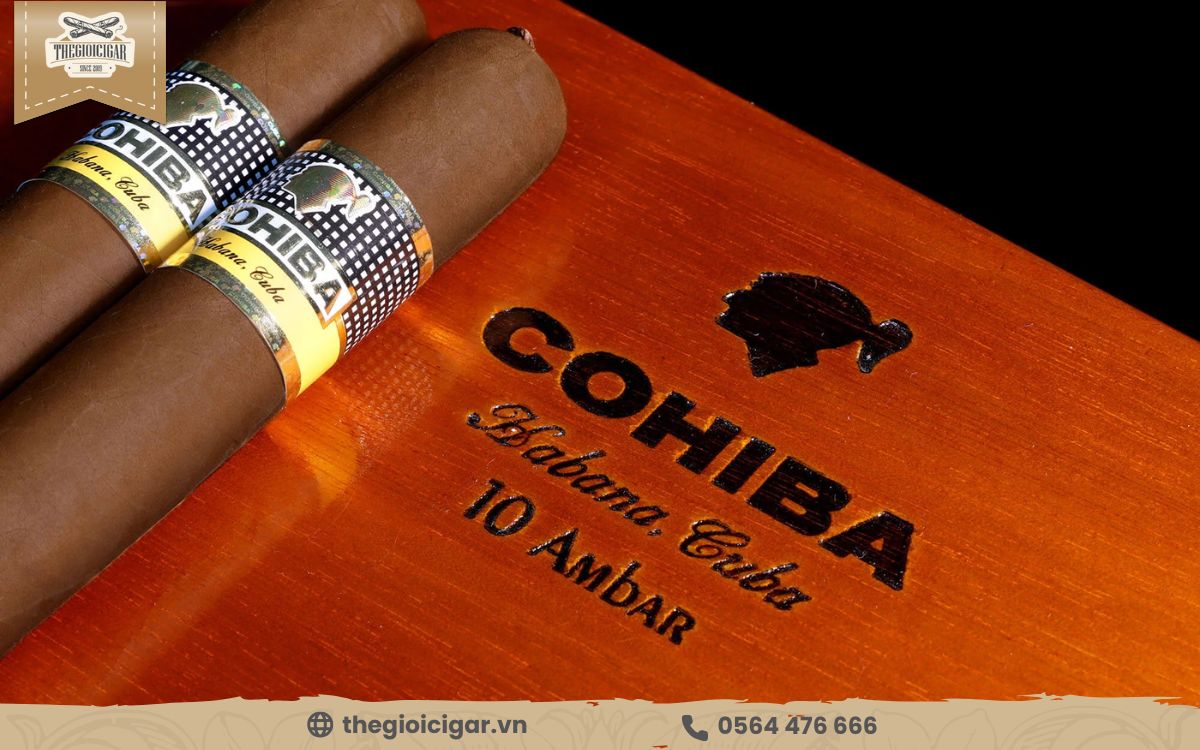 Cohiba là một trong những thương hiệu cigar Cuba thượng hạng Cigar Cohiba thượng hạng thơm ngon