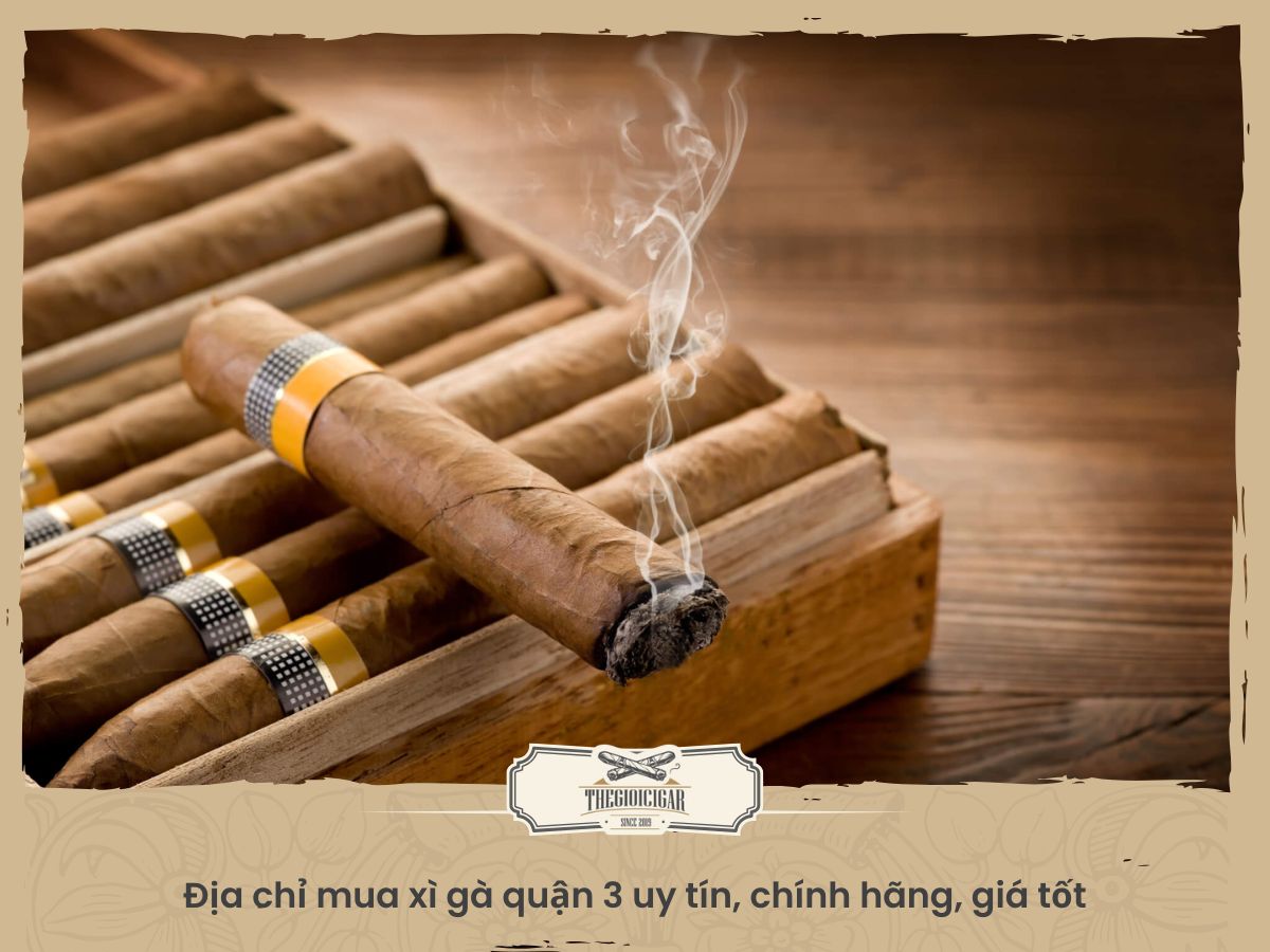 Cửa hàng xì gà quận 3 TPHCM uy tín - Thế Giới Cigar