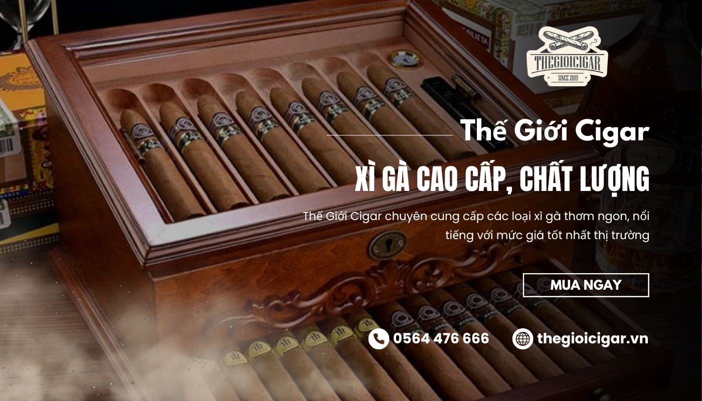 Mua xì gà ngon chuẩn vị tại Thế Giới Cigar