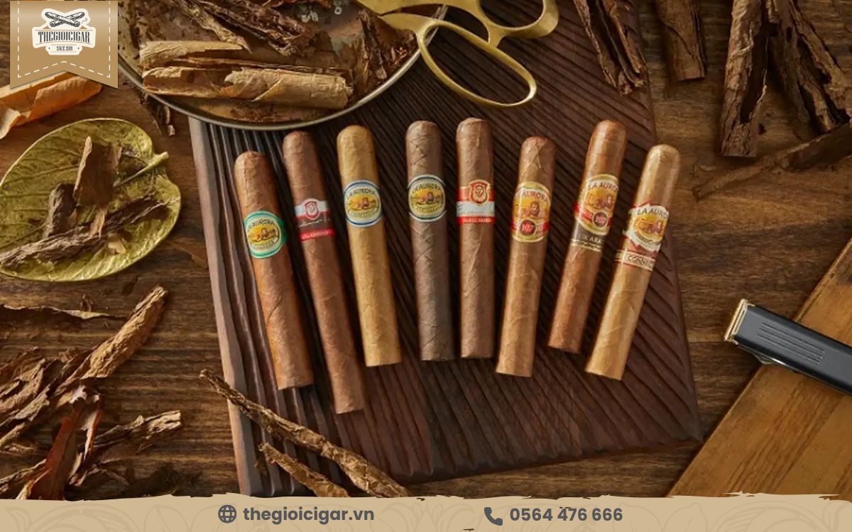 Nhu cầu thưởng thức xì gà cao cấp tại quận 3 Xu hướng thưởng thức xì gà tại quận 3 TPHCM
