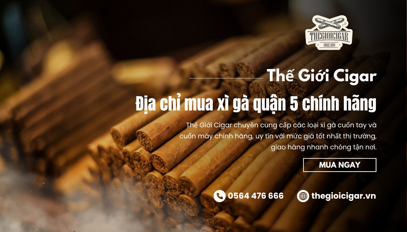 Mua xì gà quận 5 ở đâu chính hãng, giá tốt