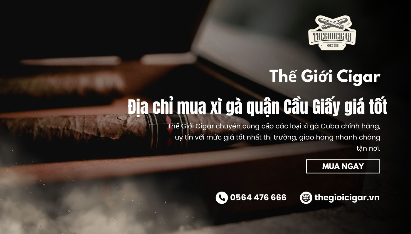 Thế Giới Cigar là nơi bán xì gà chất lượng Cầu Giấy