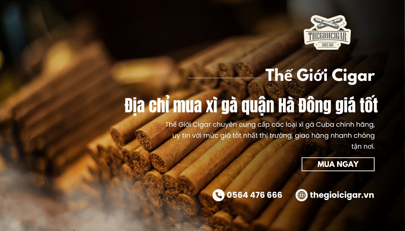 Mua xì gà Hà Đông chính hãng, giá tốt tại Thế Giới Cigar