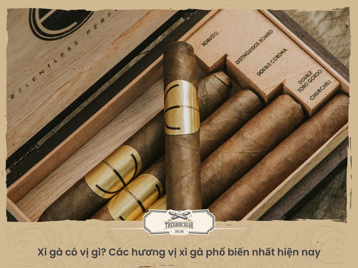 Xì gà có vị gì đặc biệt? Các hương vị cigar phổ biến
