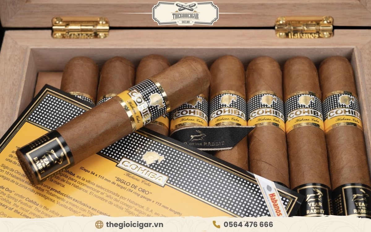 Xì gà Cohiba được giới sành khói quận 5 ưa chuộng nhờ hương vị đậm đà, tinh tế Một số dòng Cohiba cigar quận 5 được ưa chuộng