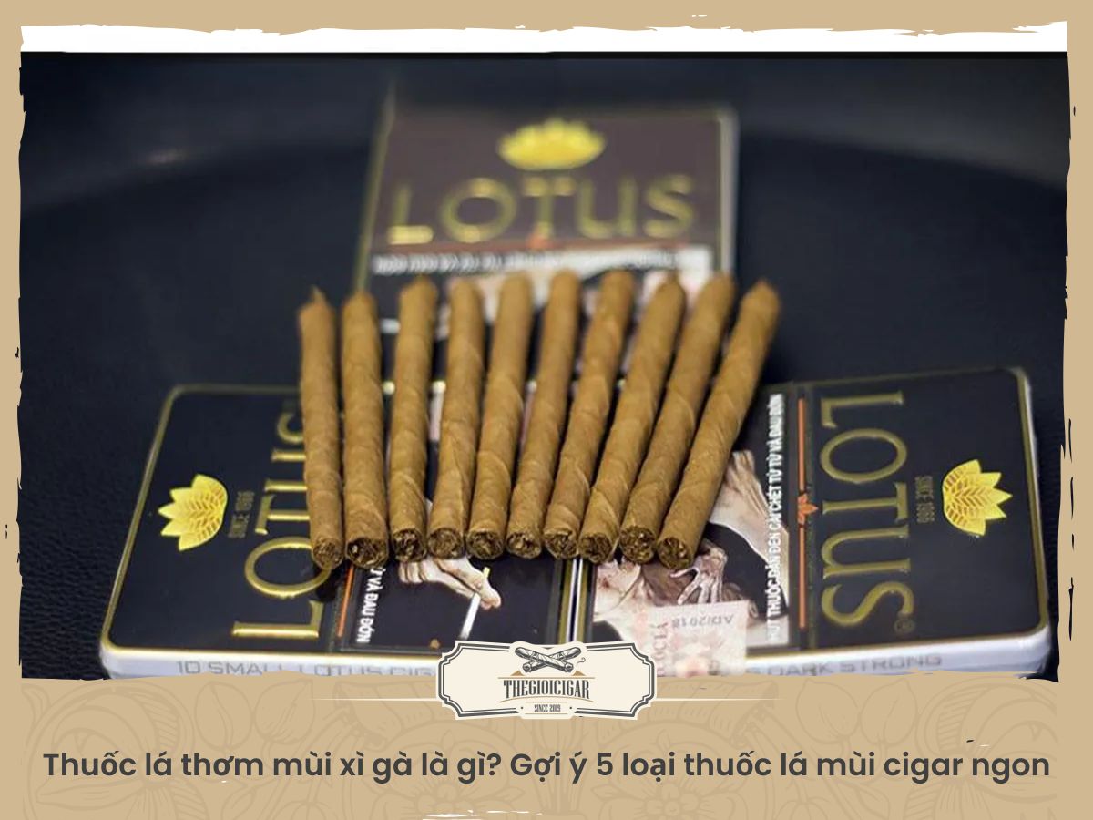thuốc lá thơm mùi xì gà