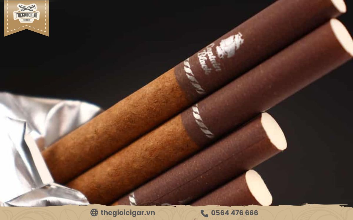 Thuốc lá thơm mùi xì gà là gì?