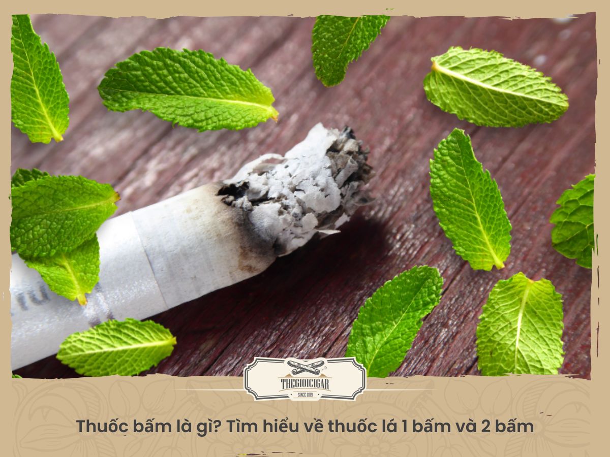 thuốc bấm là gì